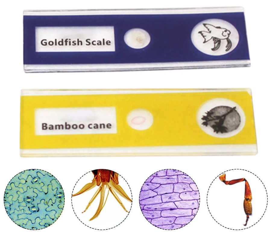 Pocket microscope for fascinating explorations