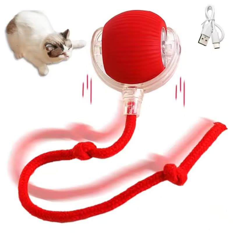 Bouncend speelgoed voor actieve en nieuwsgierige katten 