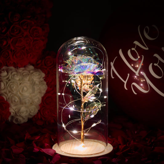 Rose sous Cloche – Élégance Lumineuse et Intemporelle